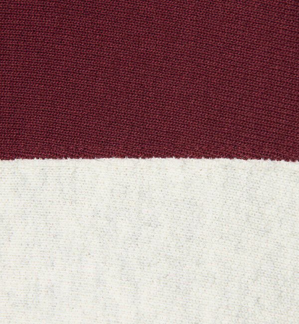 BEAUTY&YOUTH UNITED ARROWS「＜CHAMPION&times;BEAUTY&YOUTH＞コントラスト パーカー」|パーカー|