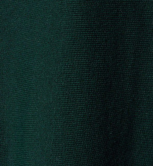 BEAUTY&YOUTH UNITED ARROWS「【別注】＜Champion＞ソリッドスウェットプルオーバー」|スウェット・ジャージ|