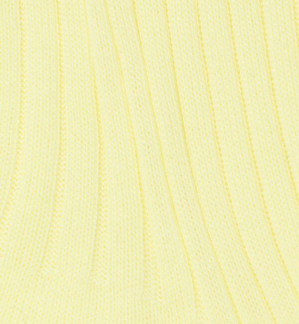 BEAUTY&YOUTH UNITED ARROWS「カラー リブ ソックス」|ソックス|