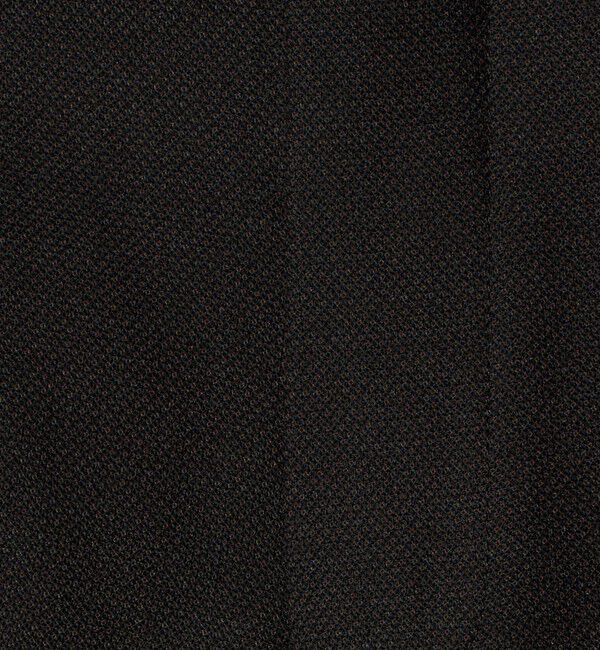 UNITED ARROWS green label relaxing「A+ TWPU バーズアイ スリム アジャスター スラックス -ウォッシャブル・ストレッチ-」|スラックス|