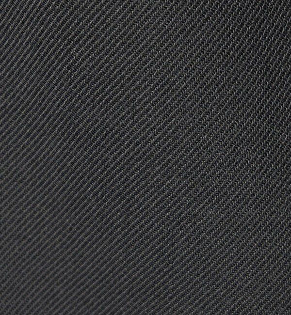 STEVEN ALAN「＜Steven Alan＞ ヴィンテージツイル スノー パンツ」|スラックス|