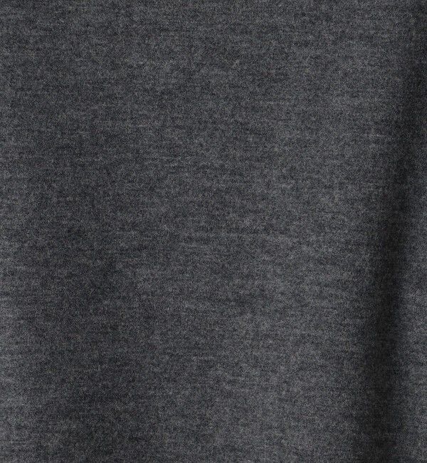 GALERIE VIE「ウールミルドスムース ビルドネックプルオーバー」|Tシャツ・カットソー|