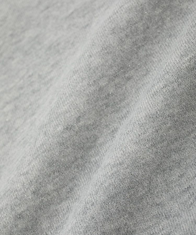 AMERICAN HOLIC「ラメ裏毛スウェットプルオーバー」|スウェット・ジャージ|