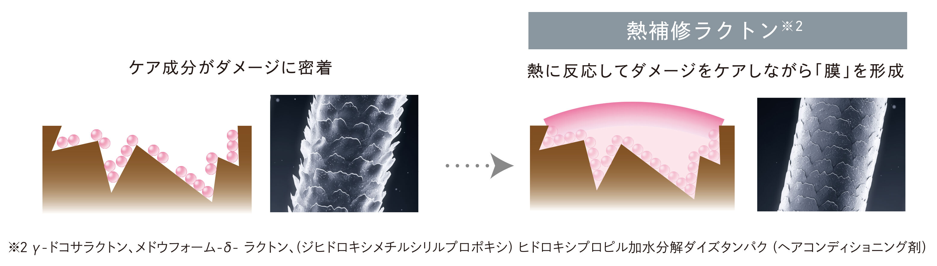 ReFa「リファビューテックマスク」|シャンプー|