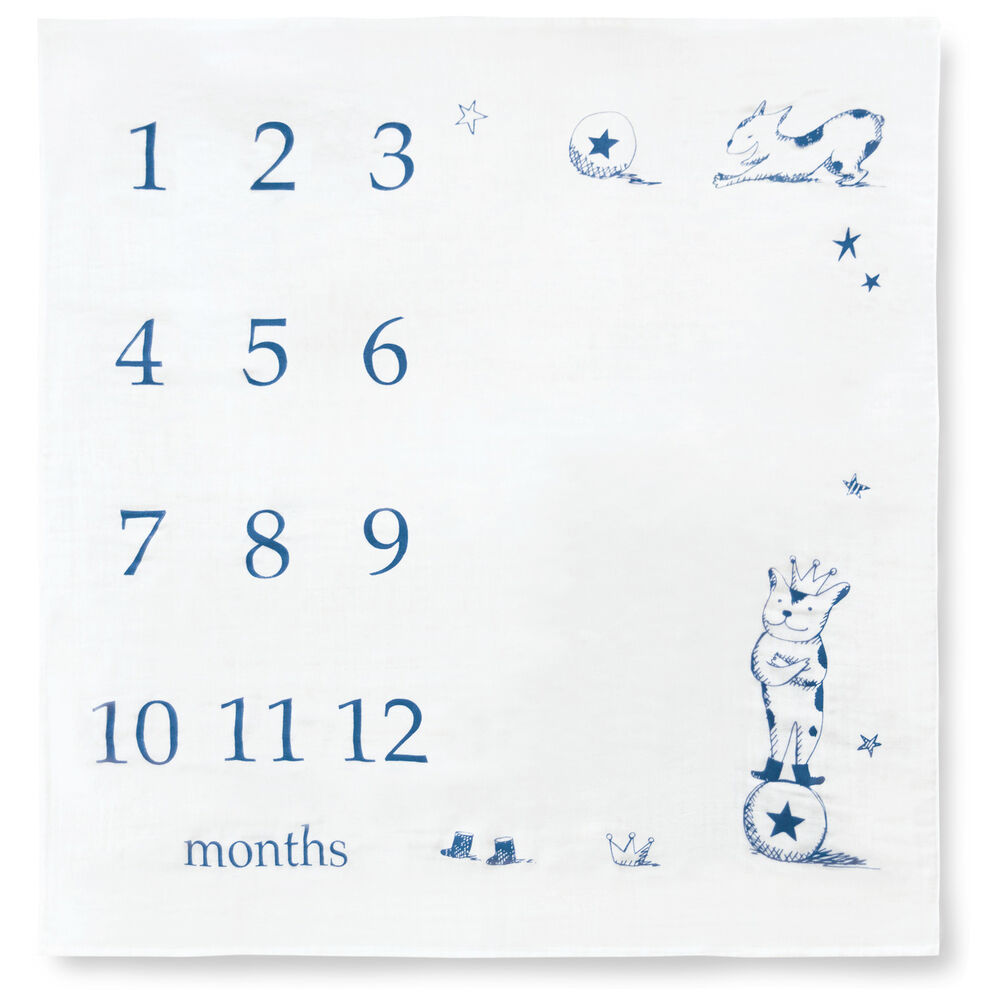 BACKYARD FAMILY「寝相アート おくるみ ガーゼケット ベビー 通販 シーツ 撮影シート 3重ガーゼケット 月齢フォト」|その他ベビーウェア|ブルー1