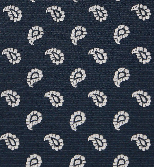 UNITED ARROWS green label relaxing「＜partitura＞8.0cm ペイズリー2 ネクタイ」|ネクタイ・蝶ネクタイ|