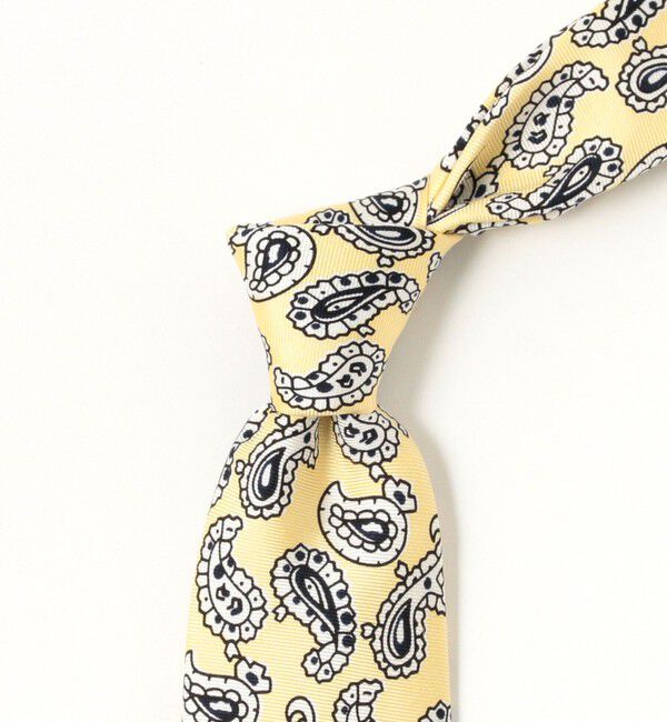BEAMS PLUS「BEAMS PLUS / Silk Tie Paisley Print」|ネクタイ・蝶ネクタイ|