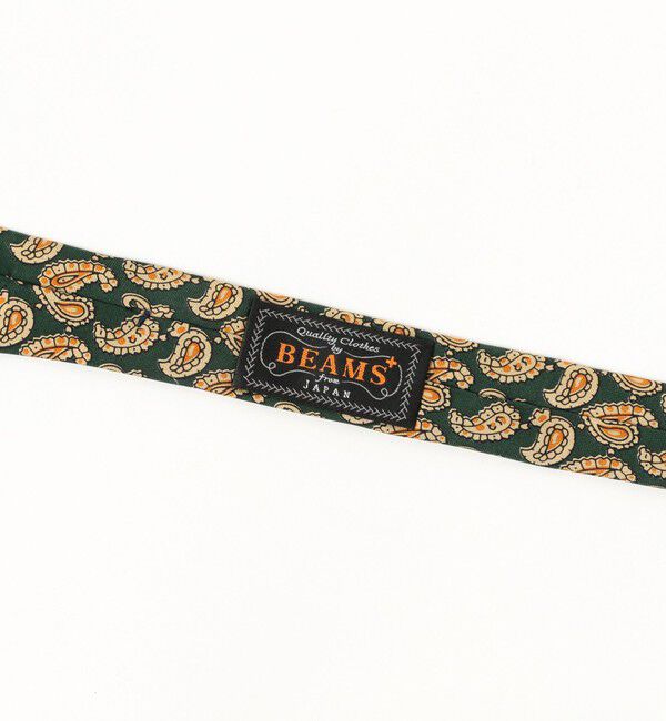 BEAMS PLUS「BEAMS PLUS / Silk Tie Paisley Print」|ネクタイ・蝶ネクタイ|