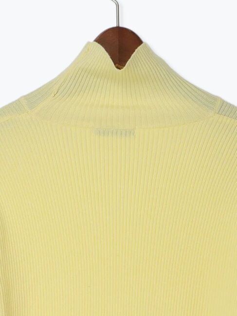 Te chichi「【Atelier Bonheur】ビジュー釦リブタートルプルオーバー《2025winter catalog item》」|ニット・セーター|