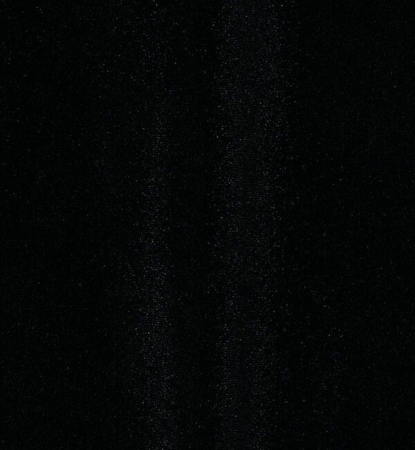 AEWEN MATOPH「＜AEWEN MATOPH＞シアー ベロア Tシャツ」|Tシャツ・カットソー|