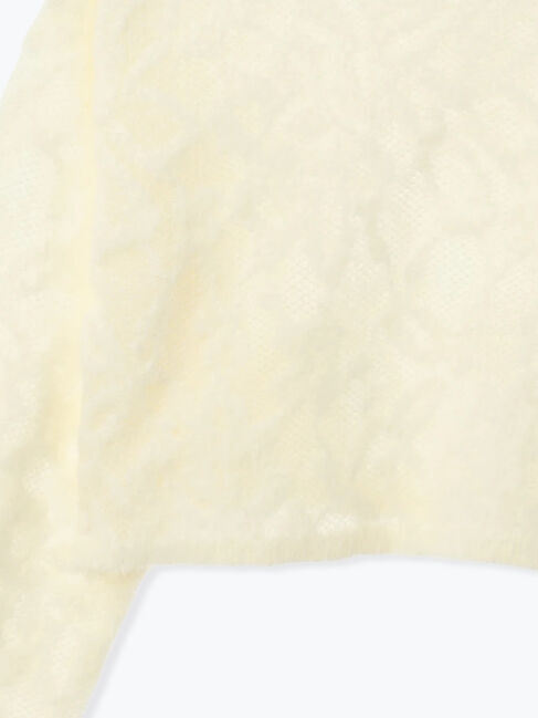 Te chichi「起毛レースニットプルオーバー（セットアップ可）《2025winter catalog item》」|ニット・セーター|