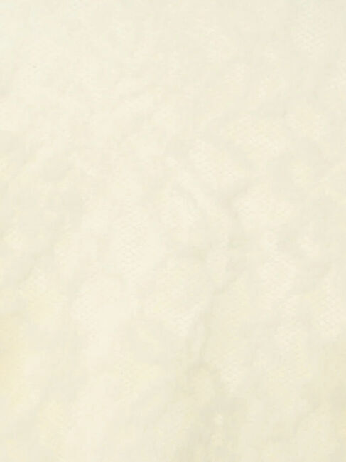 Te chichi「起毛レースニットプルオーバー（セットアップ可）《2025winter catalog item》」|ニット・セーター|