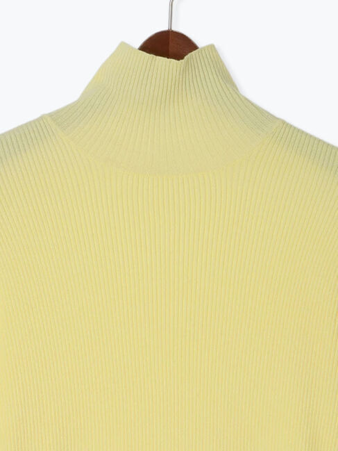 Te chichi「【Atelier Bonheur】ビジュー釦リブタートルプルオーバー《2025winter catalog item》」|ニット・セーター|