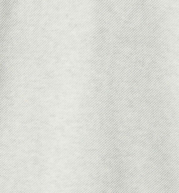 BEAUTY&YOUTH UNITED ARROWS「＜LACOSTE for BEAUTY&YOUTH＞クルーネック スウェット」|ニット・セーター|