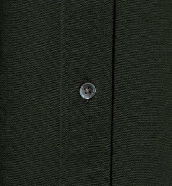 BEAUTY&YOUTH UNITED ARROWS「ダブルブラッシュ コットン レギュラーシャツ FORM型」|シャツ・ブラウス|