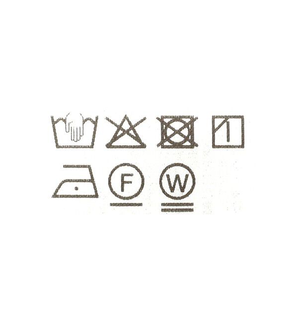 Ray BEAMS 「シアー センター シーム Tシャツ」|Tシャツ・カットソー|