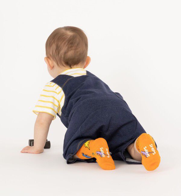 SHIPS KIDS「SHIPS KIDS:ベビー ダイナソー ソックス」|ソックス|