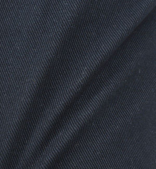 NOLLEY'S goodman「コットンカルゼ裏微起毛ストレッチスリムフィット 25AW」|チノ|