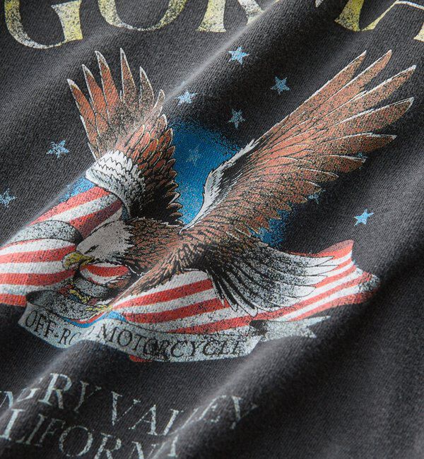  「【GOOD ROCK SPEED別注】EAGLEピグメントロンTee」|Tシャツ・カットソー|