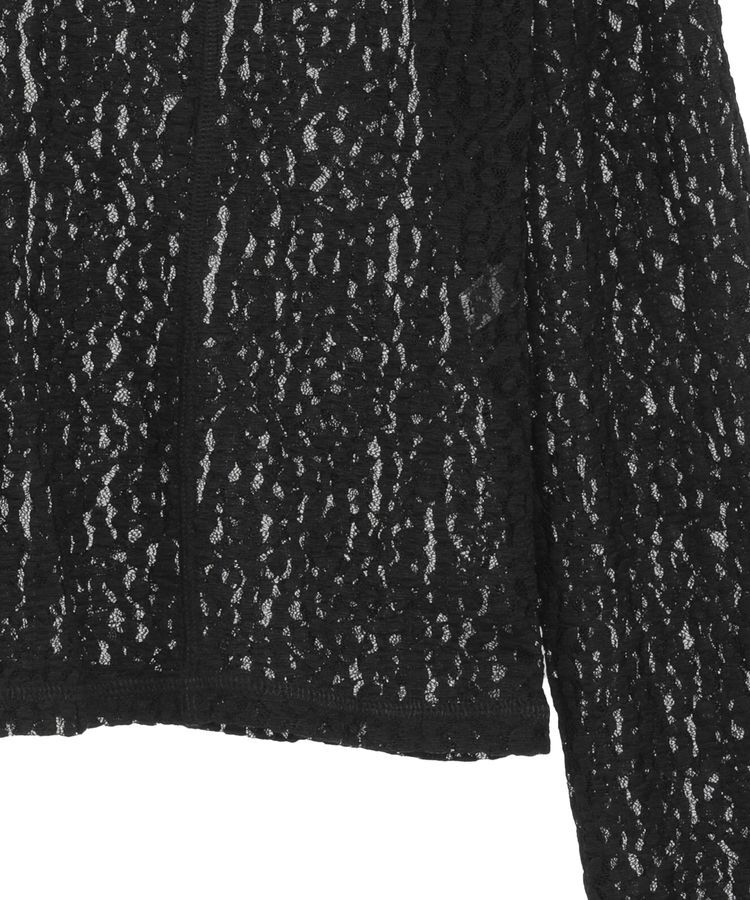 earth music&ecology「フロントボタンレースプルオーバー」|Tシャツ・カットソー|