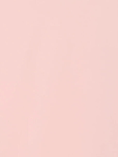 Te chichi「スムースアシメロングスリーブプルオーバー《2025Autumn catalog vol.2 item》」|Tシャツ・カットソー|