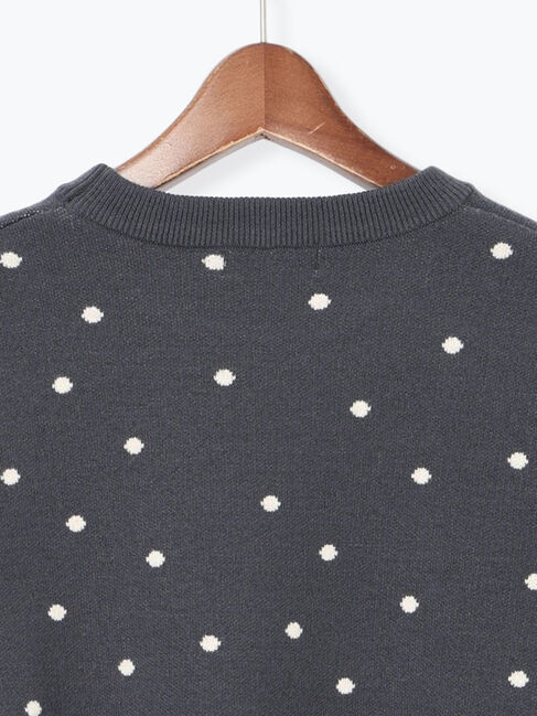 Te chichi TERRASSE「ドットジャカードクルーネックニット」|ニット・セーター|