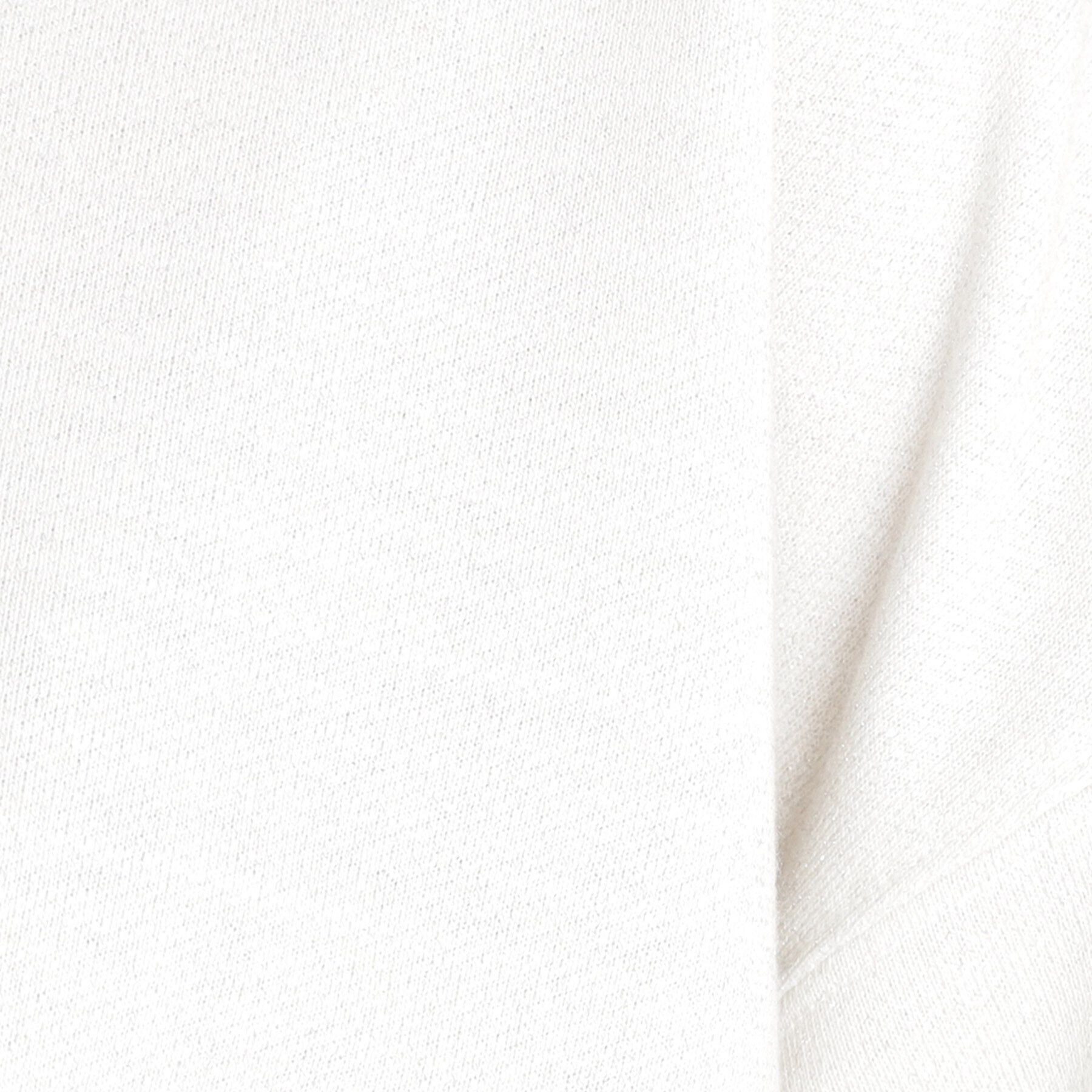 THE SHOP TK「ラメ裏毛パフスリーブ【洗える】」|Tシャツ・カットソー|