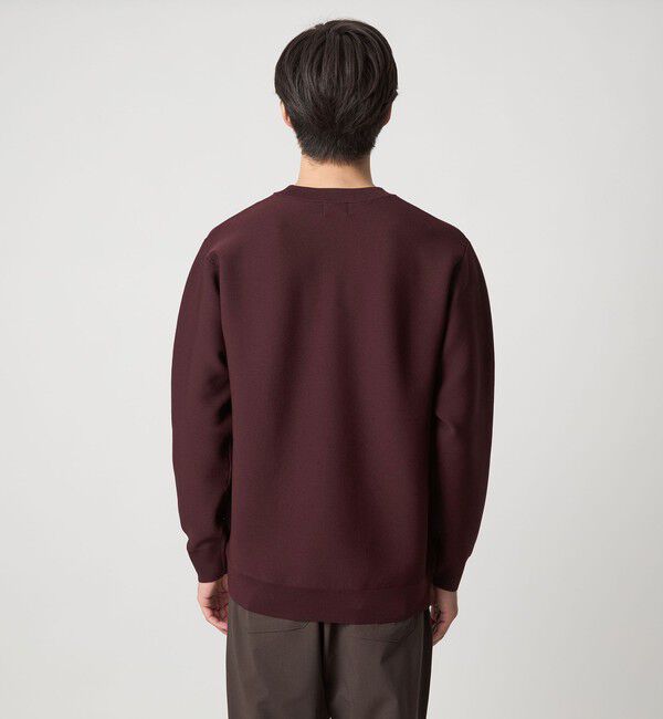 UNITED ARROWS green label relaxing「【WEB限定】ガータークルー ニット」|ニット・セーター|