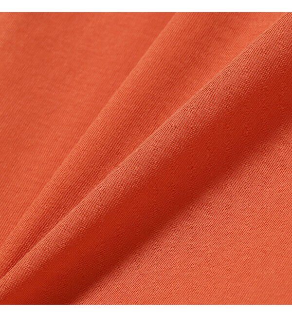 Demi-Luxe BEAMS 「シアーコットン ロングスリーブT」|Tシャツ・カットソー|