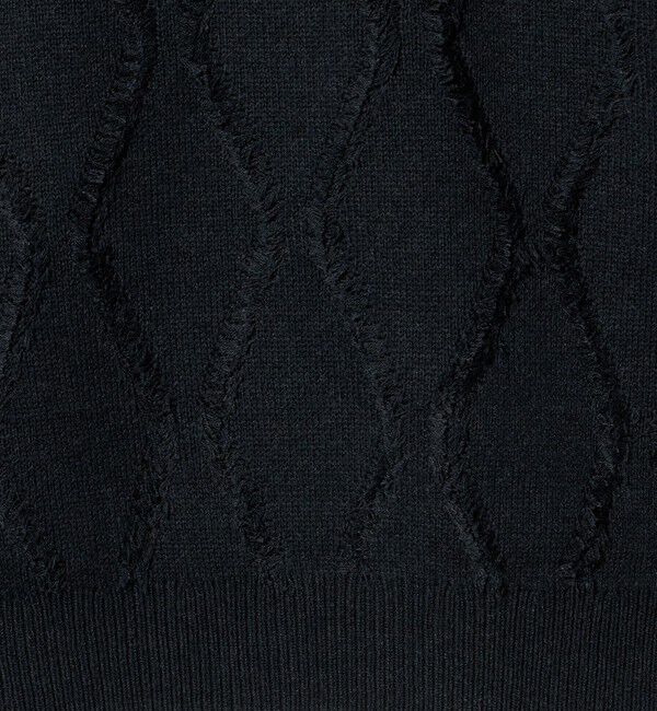 BEAUTY&YOUTH UNITED ARROWS「フリンジ パターン クルーネック ニット」|ニット・セーター|