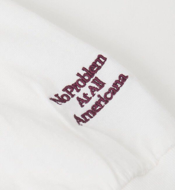 BEAUTY&YOUTH UNITED ARROWS「【WEB限定/別注】＜Americana＞プリント ロングスリーブTシャツ」|Tシャツ・カットソー|