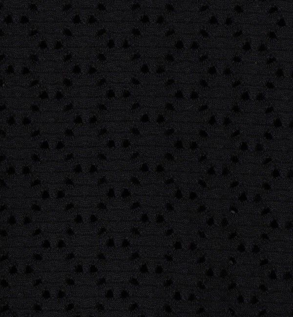 SHIPS for women「《一部追加予約》【WEB限定】〈手洗い可能〉アイレット クルーネック プルオーバー」|Tシャツ・カットソー|