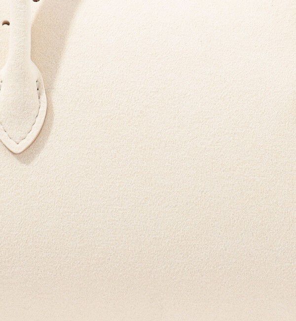 TOMORROWLAND GOODS「MARY AL TERNA ENSOU ミニバッグ」|ハンドバッグ|