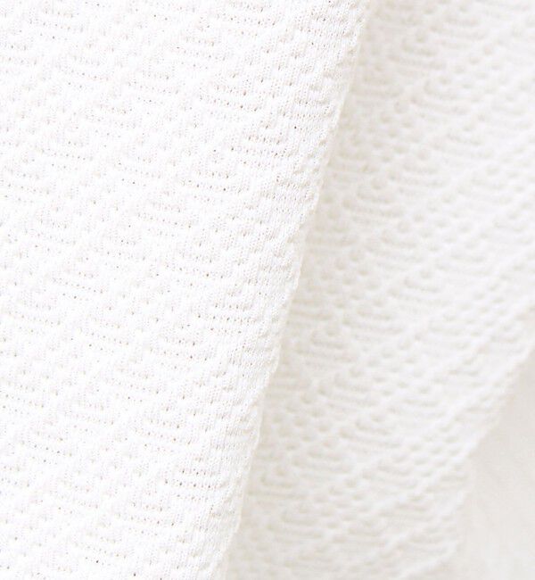 GLOSTER「【素材で魅せる】フクレリンクスジャガードロンT」|Tシャツ・カットソー|