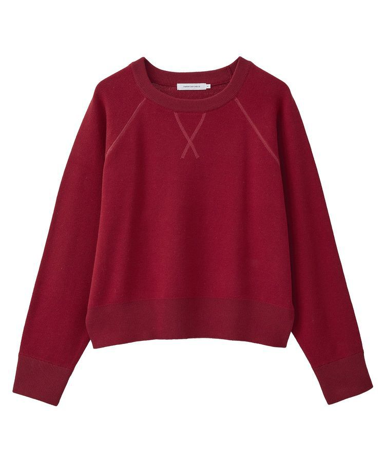 AMERICAN HOLIC「ソフトコットンスウェットライクニットトップス」|ニット・セーター|