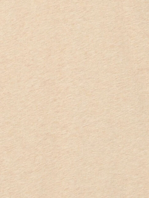 Samansa Mos2「【吸湿発熱】襟レースシャーリングカットソー」|Tシャツ・カットソー|