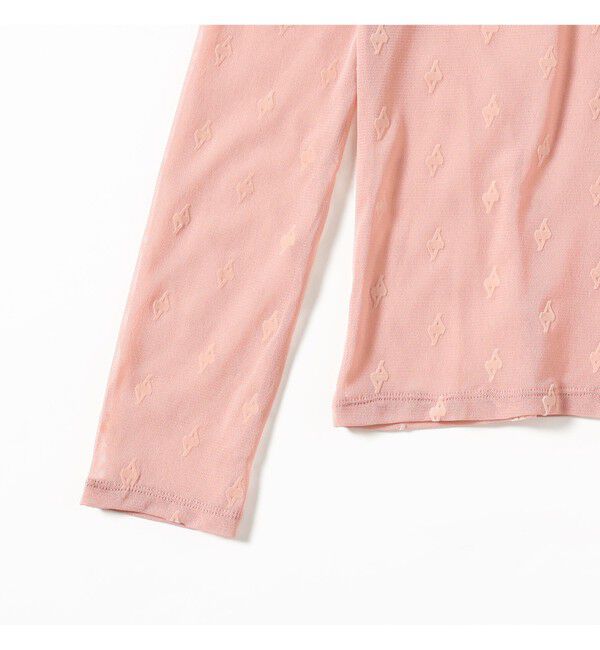 Ray BEAMS 「フロッキー プリント シアー ラウンドネック トップス」|Tシャツ・カットソー|