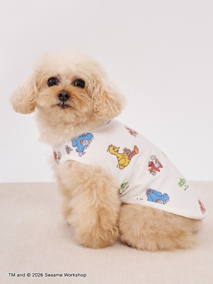  GELATO PIQUE CAT&DOG「【SESAME STREET】【CAT＆DOG】カットソープルオーバー」|その他|