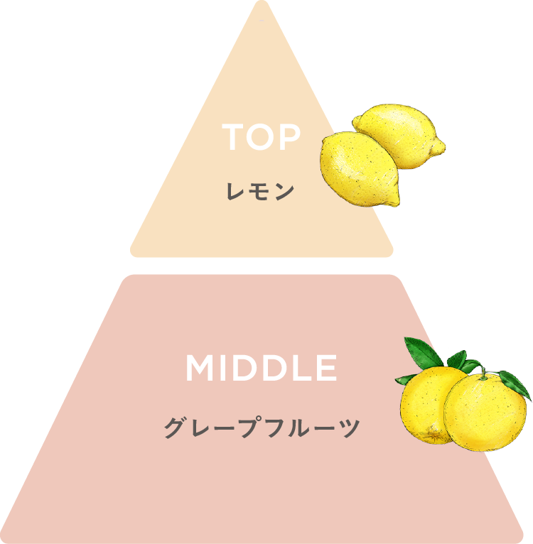  「トリートメントリッチフォーム」|洗顔料|