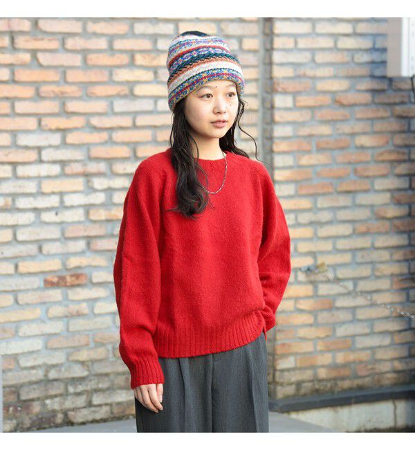 BEAMSBOY「【別注】Nor&rsquo;Easterly / シェットランド シャギー クルーネック 25FW」|ニット・セーター|CARDINAL