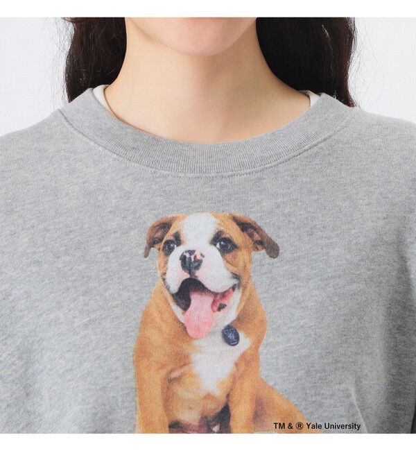 BEAMSBOY「【別注】THE BOOKSTORE / YALE スウェット 25FW」|スウェット・ジャージ|