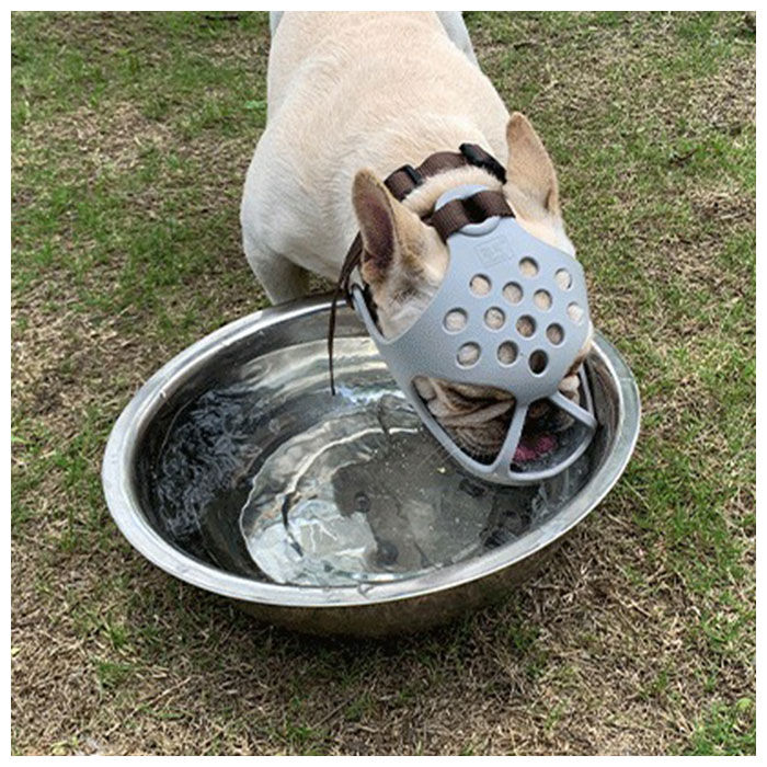 BACKYARD FAMILY「口輪 犬 通販 犬用 いぬ イヌ 短頭種 プラスチック 短い鼻 マズル 犬用マズル口輪 口を開ける」|その他|