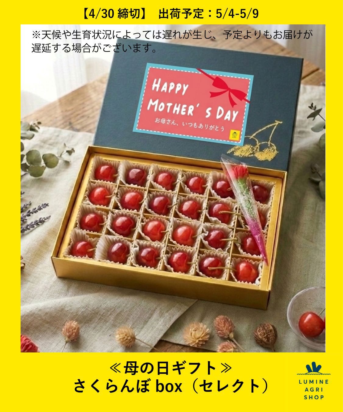 LUMINE AGRI SHOP「≪母の日ギフト≫さくらんぼbox（セレクト）」|果物・野菜|その他