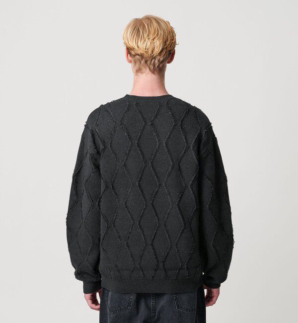 BEAUTY&YOUTH UNITED ARROWS「フリンジ パターン クルーネック ニット」|ニット・セーター|