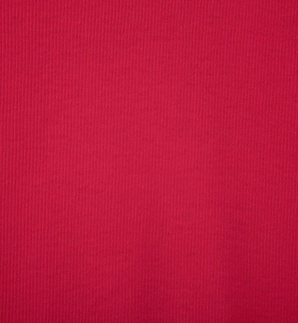 NOLLEY'S sophi「シアー配色トリミングロンT」|Tシャツ・カットソー|