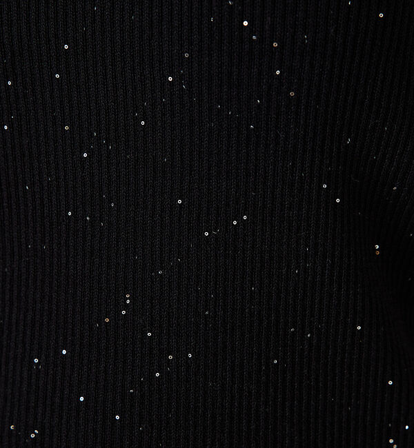 abahouse mavie「【アンサンブル対応】スパンコールニットタンク」|ニット・セーター|