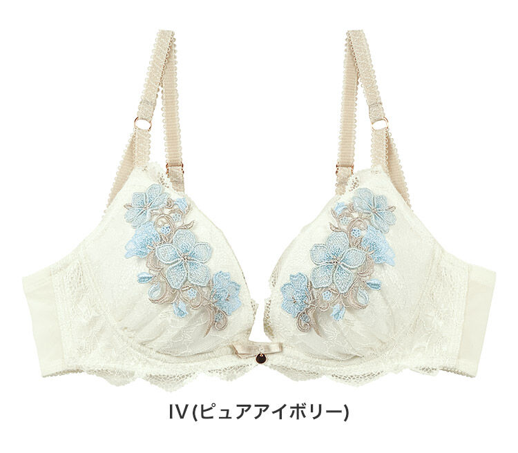 intesucre「アンテシュクレ 毎日フィットブラ Wパッドボリュームタイプ ブラジャー単品 B-E/65-75 IBT341」|インナー|IV