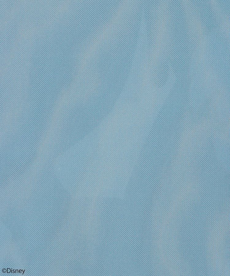 earth music&ecology「Tinker Bell/グラフィックシアープルオーバー」|Tシャツ・カットソー|