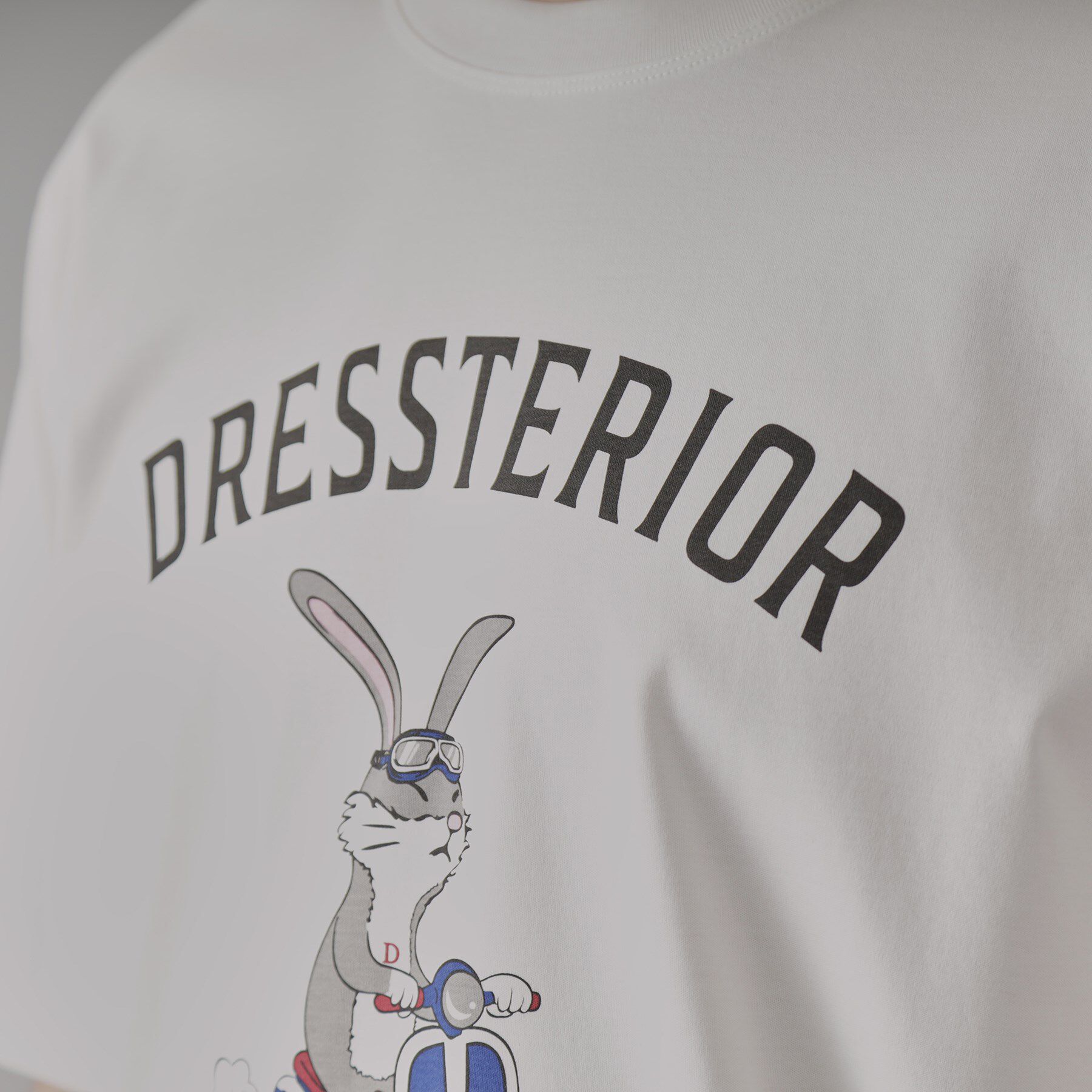 DRESSTERIOR「【接触冷感/抗菌防臭/消臭/Safari5月号掲載】ICE CLEAR COTTON ロンドンラビッ」|Tシャツ・カットソー|