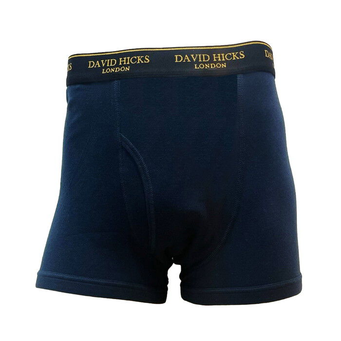 BACKYARD FAMILY「ボクサーパンツ メンズ セット 4枚 通販 ちょい漏れパンツ David Hicks」|インナー|